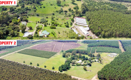 Poultry Farms - Layers & Broilers with Abattoir Property Image