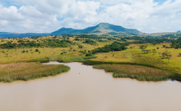 Large-Scale Beef Grazing Farms Property Image