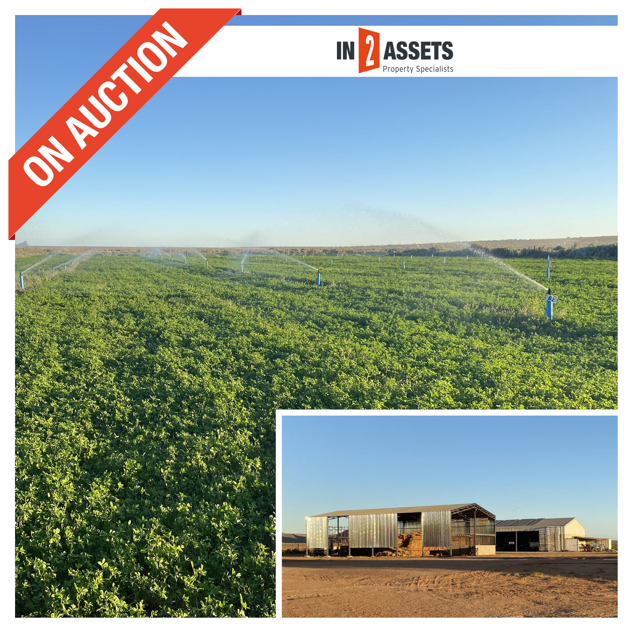±563 Hectare Farm Dispersal Sale, Farm & Equipment In2assets ±563 Hectare Farm Dispersal Sale, Farm & Equipment In2assets