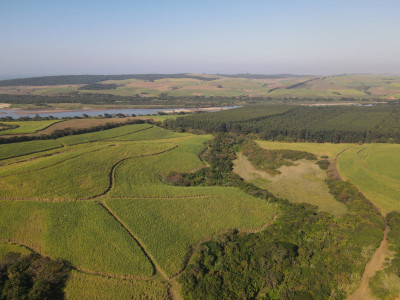 Tugela Sugarcane Farm KZN North Coast