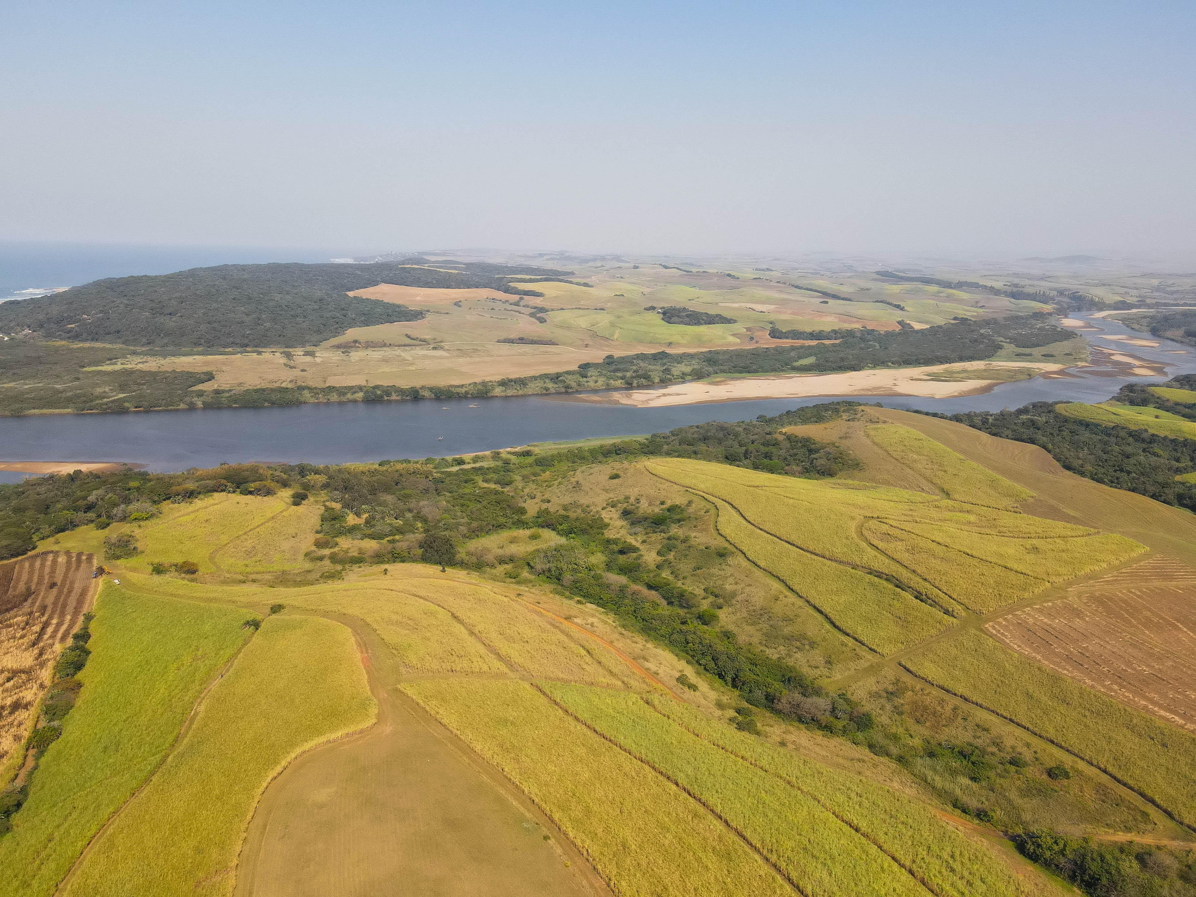 Auctions - The better way of selling Farmland