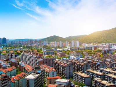 Real Estate for commercial purposes