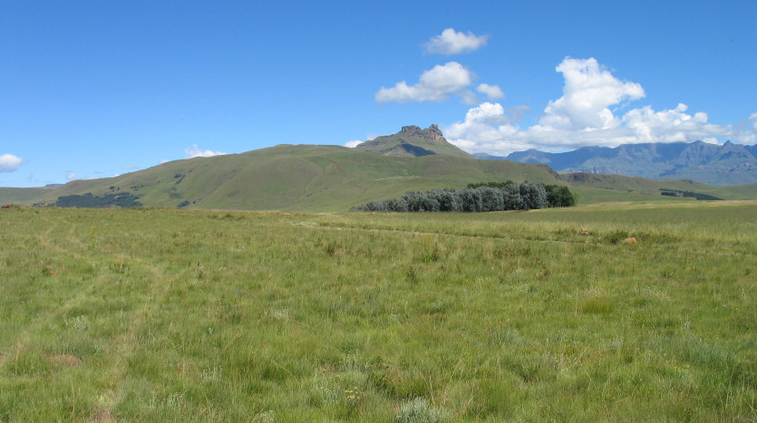 Breathtaking Southern Drakensberg Development Stands Property Images