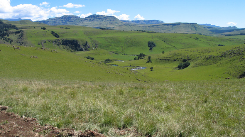Breathtaking Southern Drakensberg Development Stands Property Images
