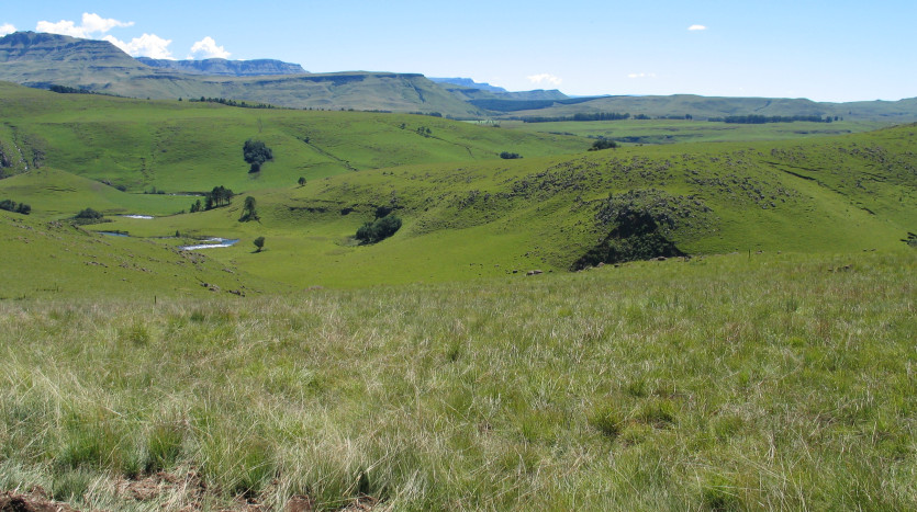 Breathtaking Southern Drakensberg Development Stands Property Images