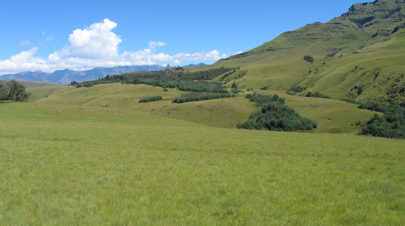 Breathtaking Southern Drakensberg Development Stands Property Images