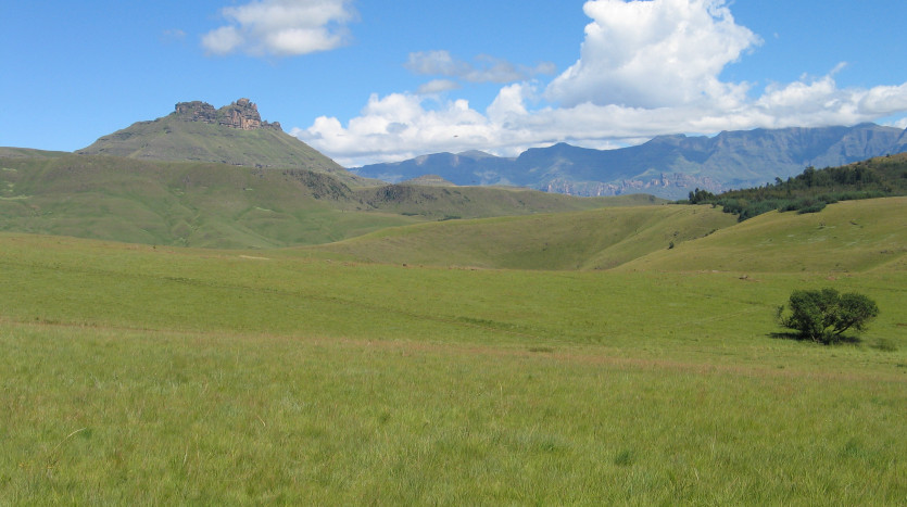 Breathtaking Southern Drakensberg Development Stands Property Images