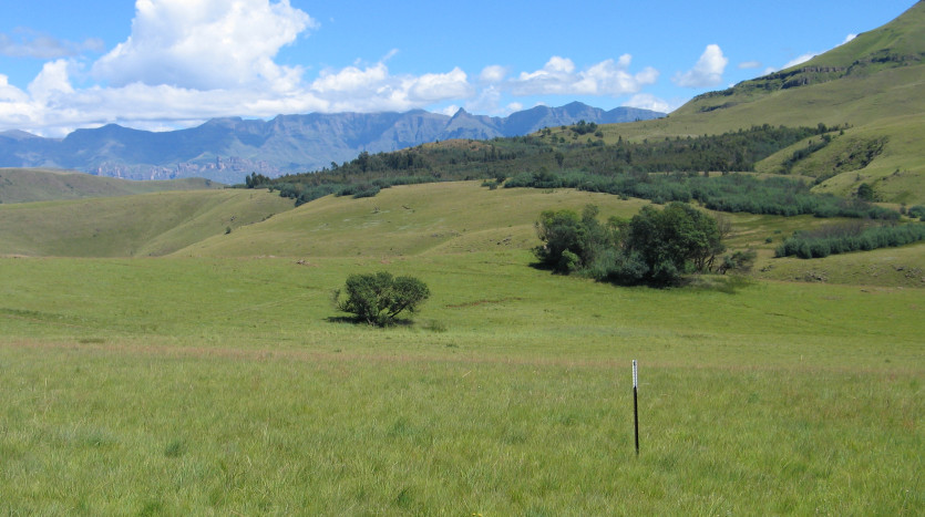 Breathtaking Southern Drakensberg Development Stands Property Images