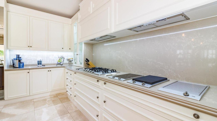 Opulent Executive Mansion Property Images