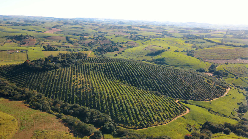 Macadamia & Sugarcane Farm on KZN North Coast Property Images