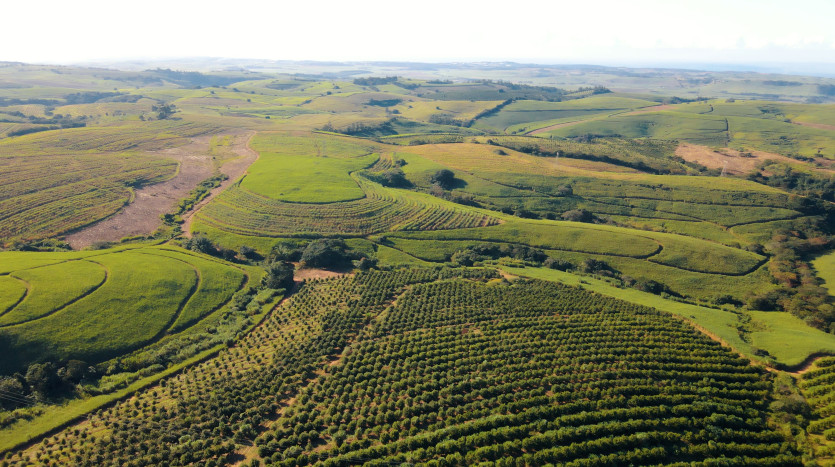 Macadamia & Sugarcane Farm on KZN North Coast Property Images