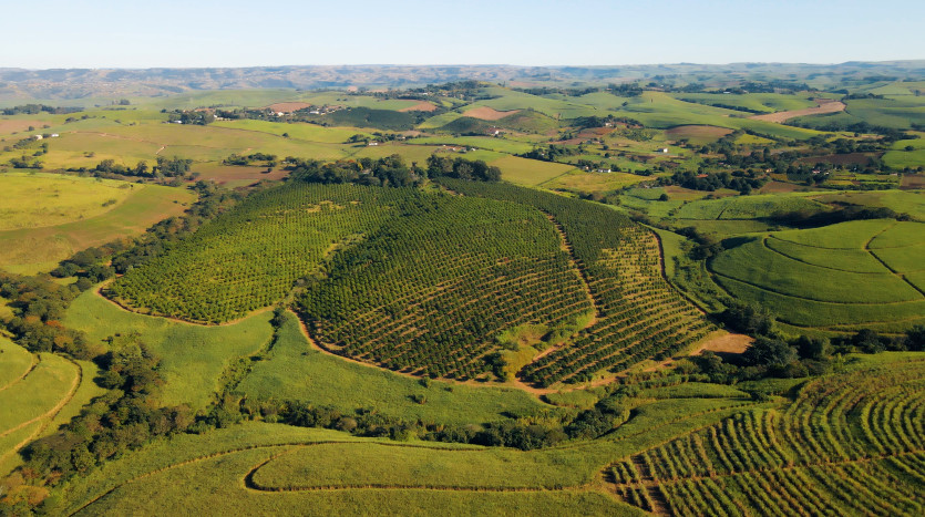 Macadamia & Sugarcane Farm on KZN North Coast Property Images