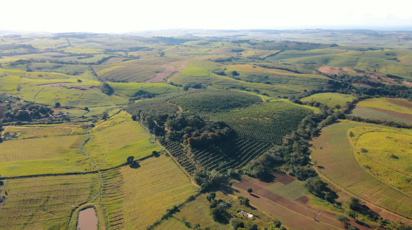 Macadamia & Sugarcane Farm on KZN North Coast Property Images