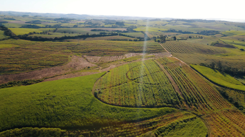 Macadamia & Sugarcane Farm on KZN North Coast Property Images