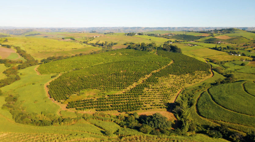 Macadamia & Sugarcane Farm on KZN North Coast Property Images