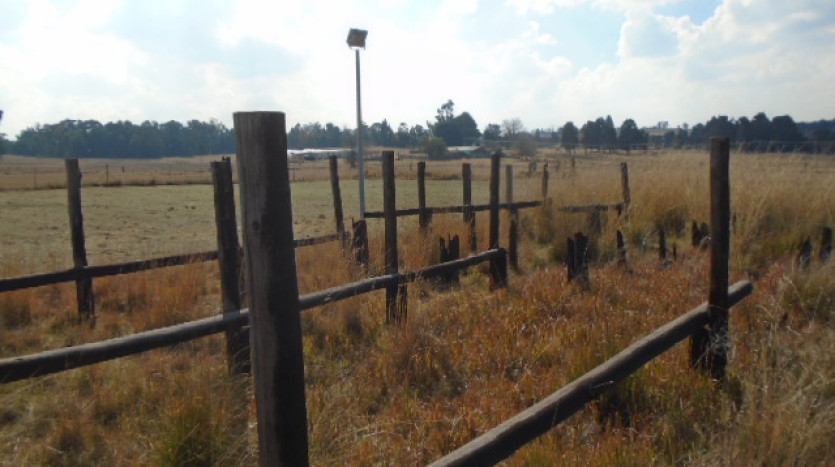 TELKOM PORTFOLIO: Property in Bethal Property Images