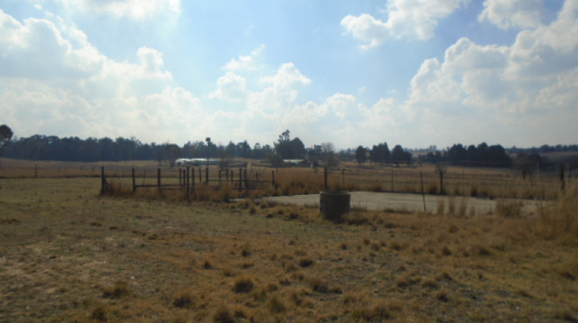 TELKOM PORTFOLIO: Property in Bethal Property Images