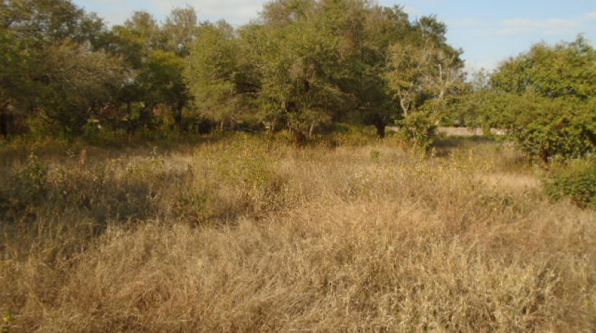 TELKOM PORTFOLIO: Industrial Land with some Improvements in Komatiepoort, Mpumalanga Property Images
