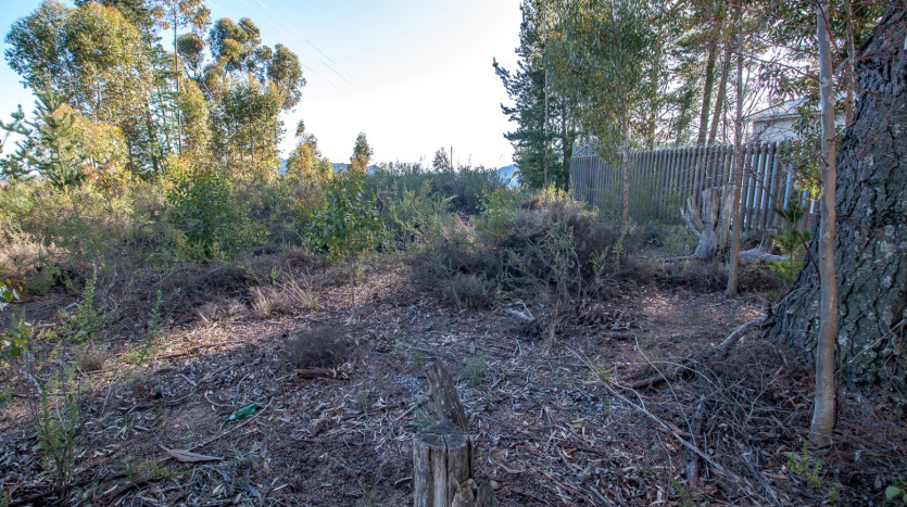 TELKOM PORTFOLIO: Redevelopment Property in Piketberg Property Images