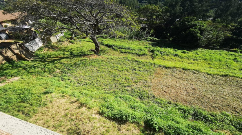 Development Opportunity for 17 Units Property Images