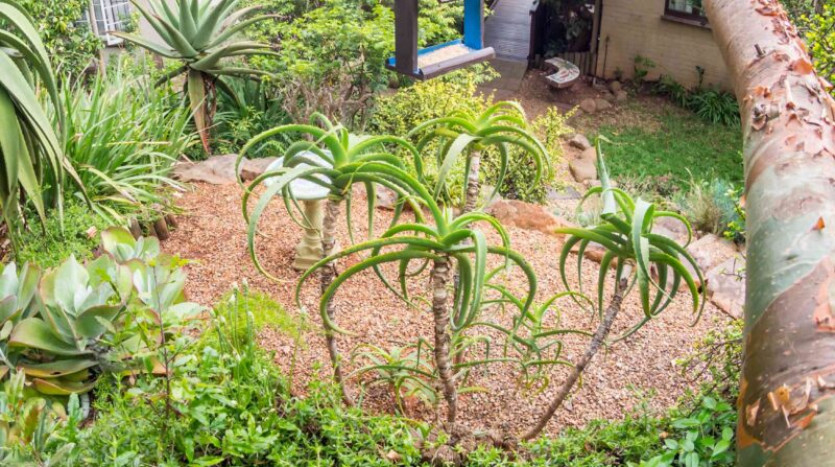 4 Star Guest House In Glenwood Property Images