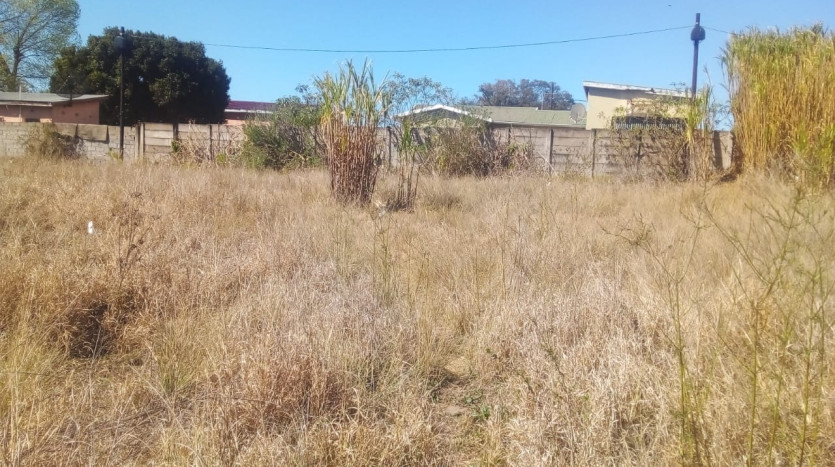 Excellent Opportunity For Residential Property Developer in Mthatha Property Images