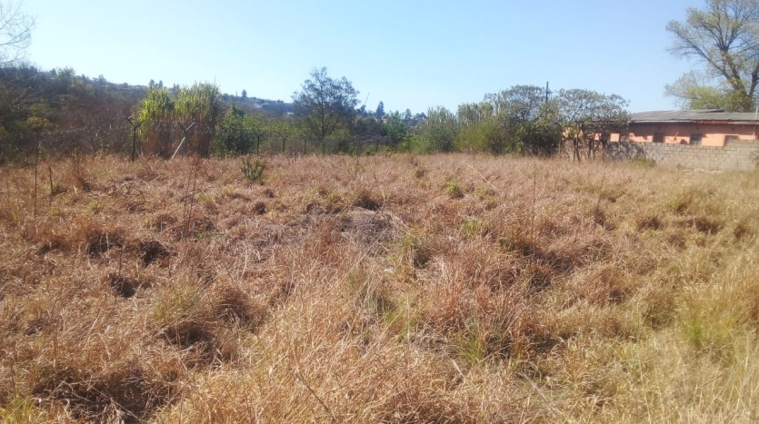 Excellent Opportunity For Residential Property Developer in Mthatha Property Images