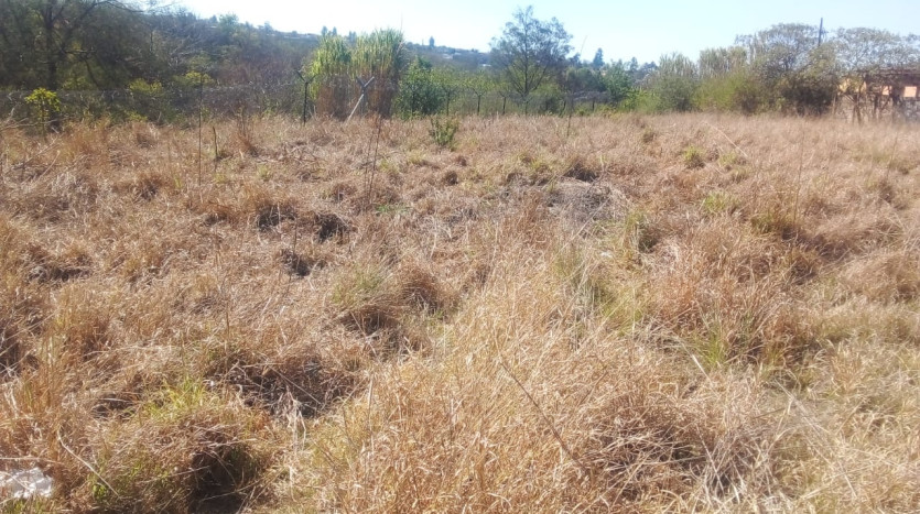 Excellent Opportunity For Residential Property Developer in Mthatha Property Images