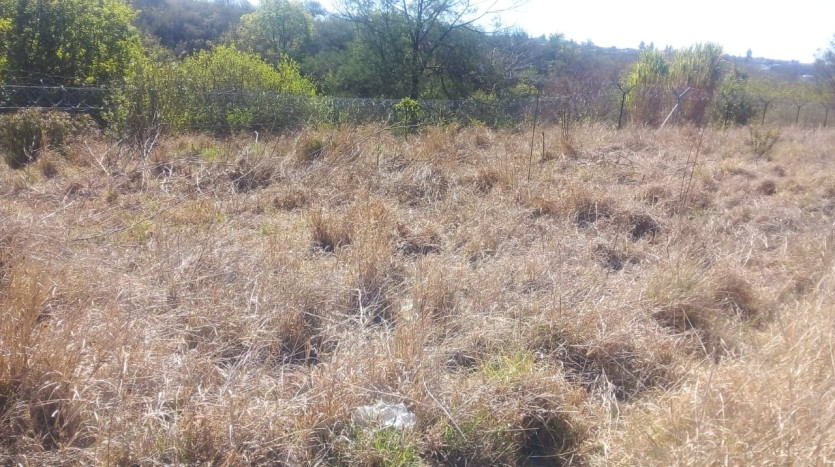 Excellent Opportunity For Residential Property Developer in Mthatha Property Images