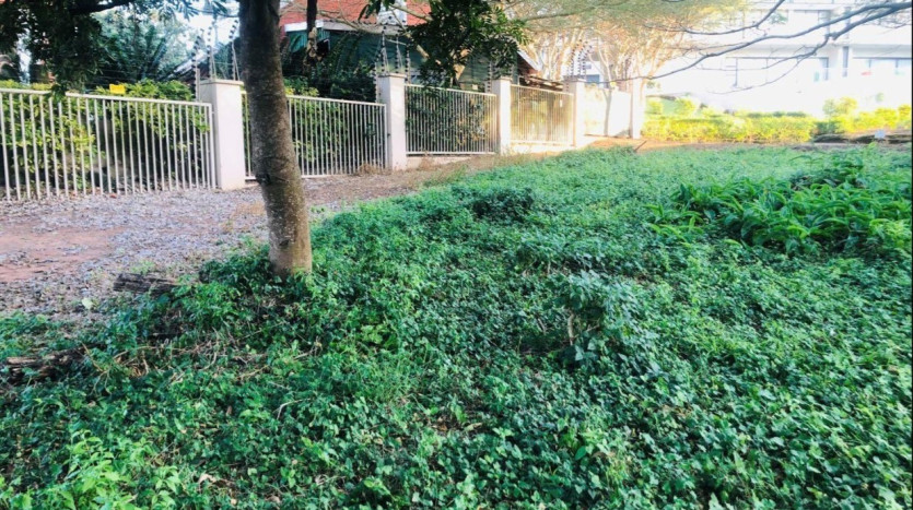 Residential Development Property Zinkwazi, KZN Property Images