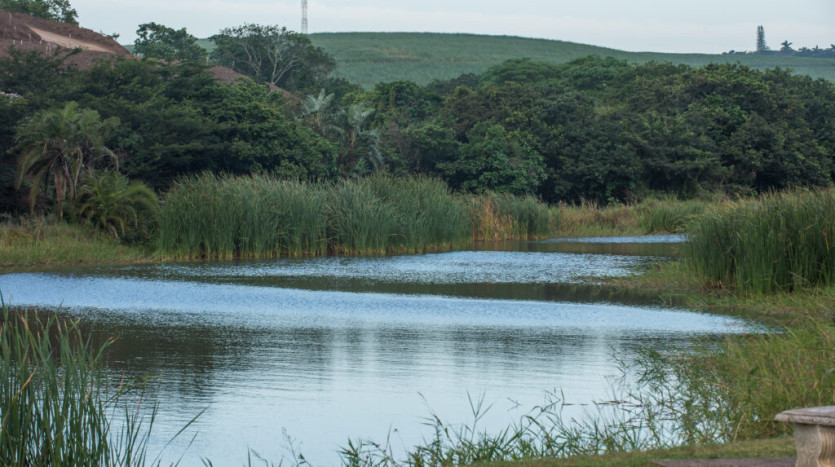 Live Your Dream Life on the Dolphin Coast, Build Your Paradise in Palm Lakes Estate! Property Images