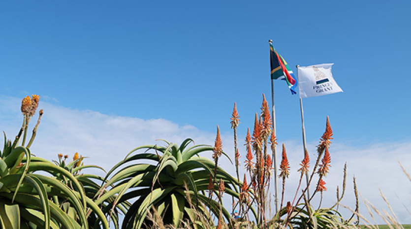 Swing into Paradise: Tee Off & Beach Bliss on KZN's North Coast! Property Images