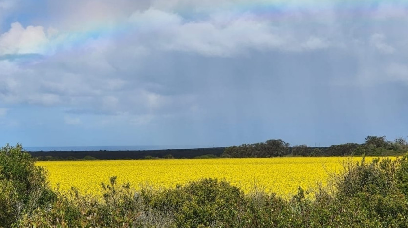 Live the Western Cape Coastal Dream: Build Your Paradise in Boggomsbaai! Property Images