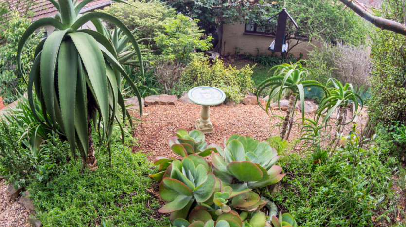 Glenwood Durban gem where comfort meets prosperity. Property Images