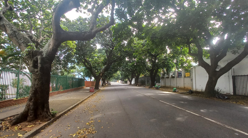 Convenient Apartment in the Heart of Durban’s Vibrant Social Scene Property Images