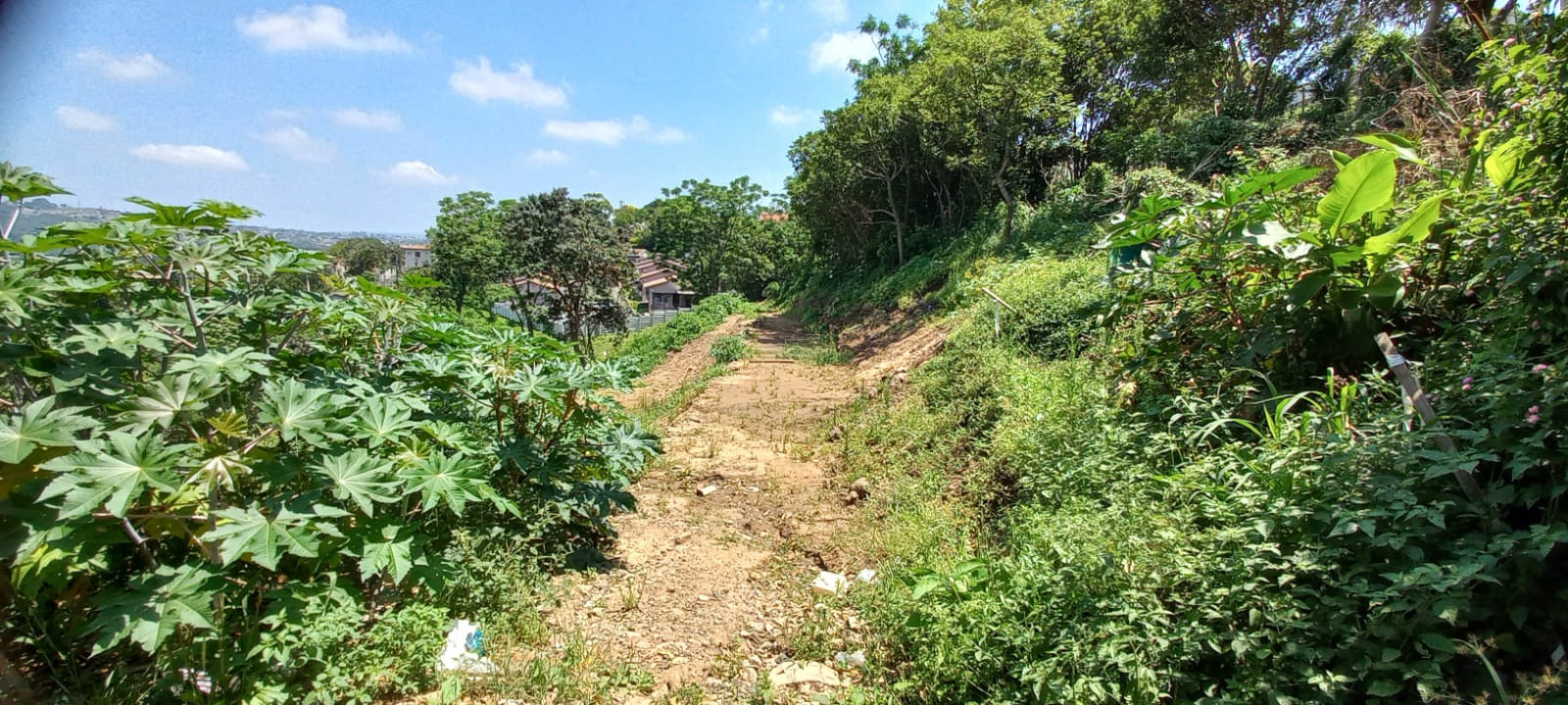 Vacant Land in Malvern