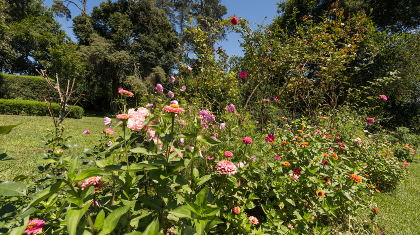 Smallholding in Dargle Valley, KZN Midlands Property Images