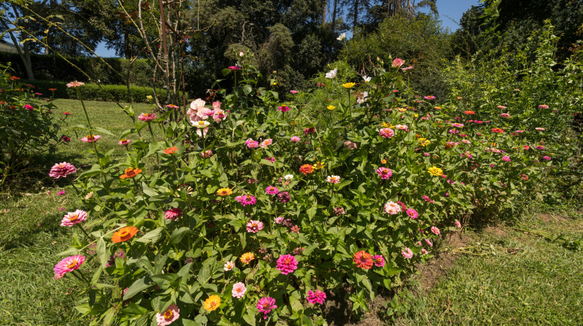 Smallholding in Dargle Valley, KZN Midlands Property Images
