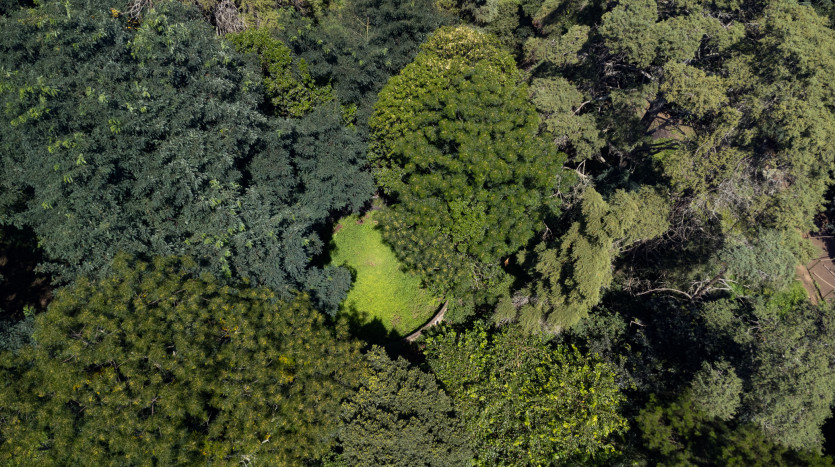 Smallholding in Dargle Valley, KZN Midlands Property Images