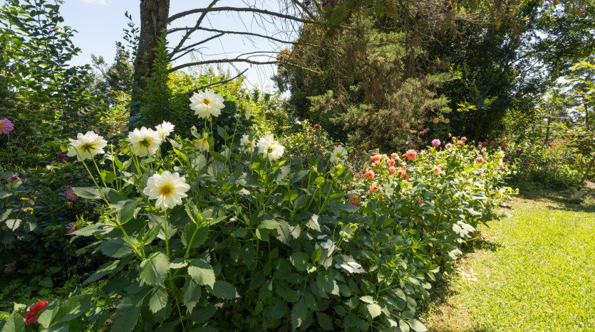 Smallholding in Dargle Valley, KZN Midlands Property Images