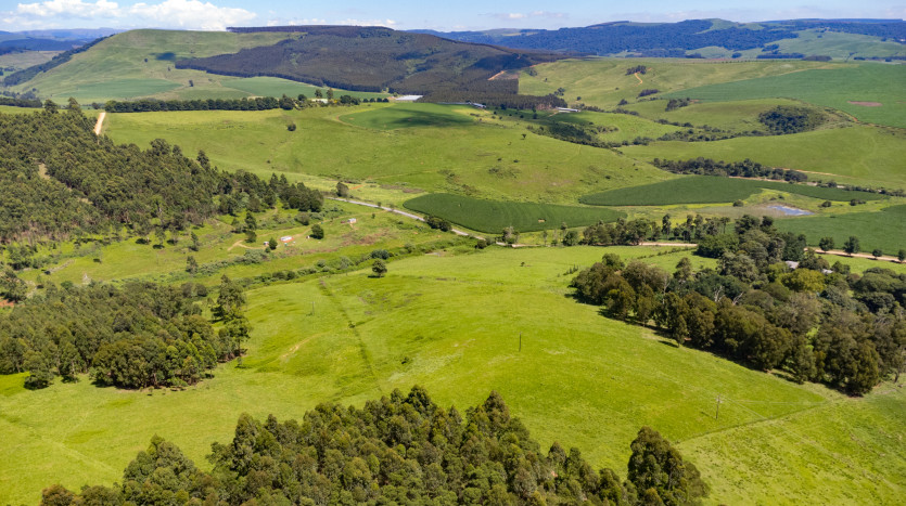 Smallholding in Dargle Valley, KZN Midlands Property Images
