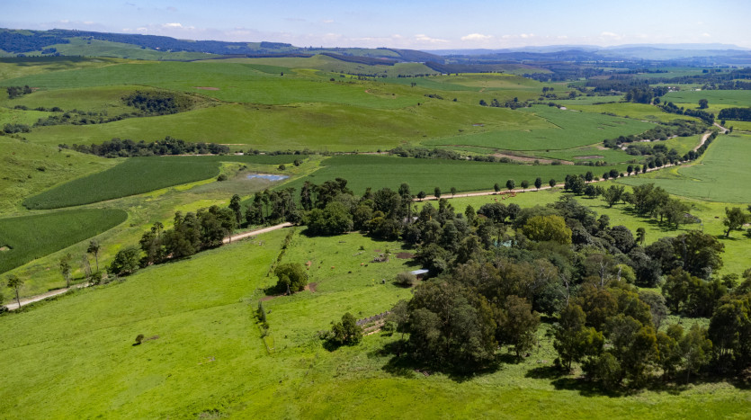 Smallholding in Dargle Valley, KZN Midlands Property Images