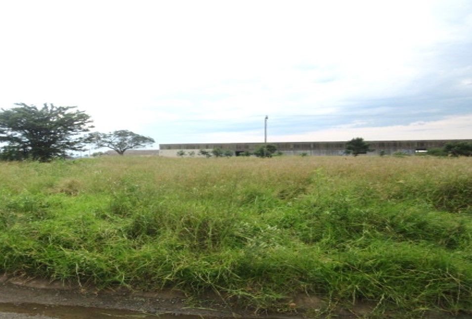 Vacant Residential Land in Butterworth