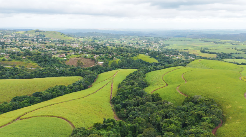 Majestic Cane Farm with Development Potential in Eshowe Property Images