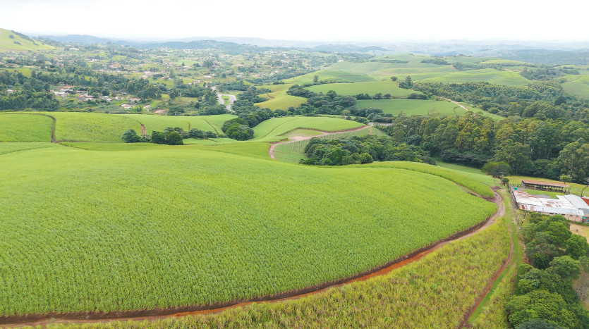 Majestic Cane Farm with Development Potential in Eshowe Property Images