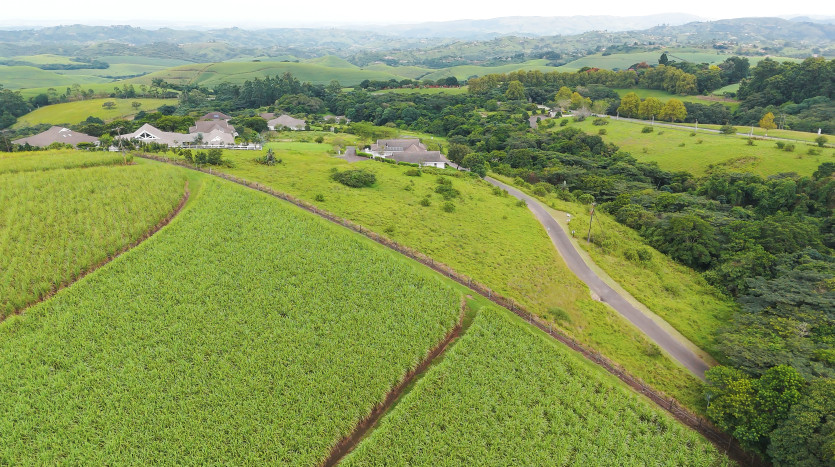 Majestic Cane Farm with Development Potential in Eshowe Property Images