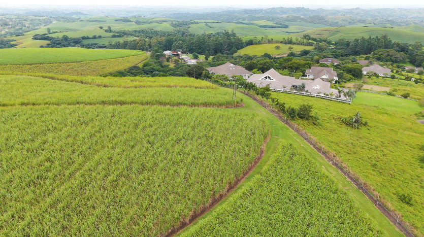 Majestic Cane Farm with Development Potential in Eshowe Property Images