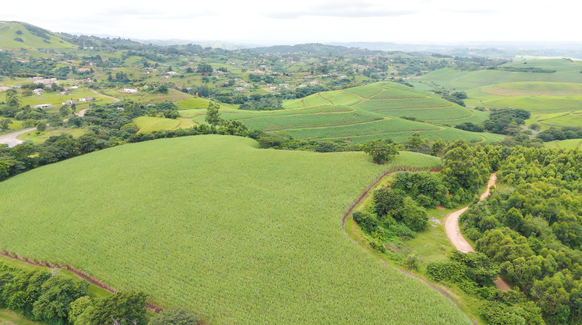 Majestic Cane Farm with Development Potential in Eshowe Property Images