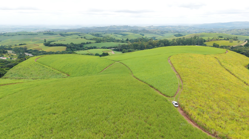 Majestic Cane Farm with Development Potential in Eshowe Property Images