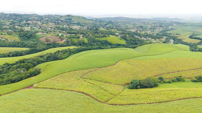 Majestic Cane Farm with Development Potential in Eshowe Property Images